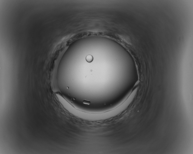 X0000083011398200703021928