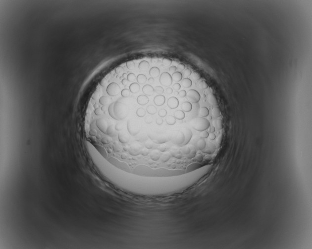 X0000083011400200703021928