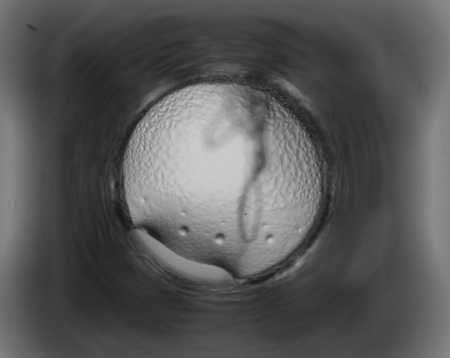 X0000083011401200703021928