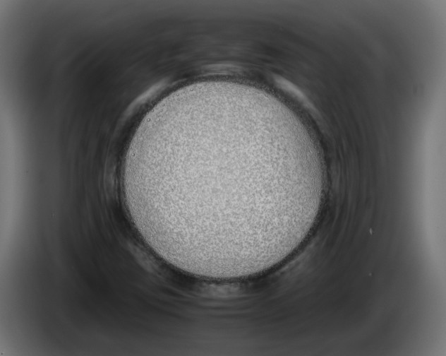 X0000083011403200703021928