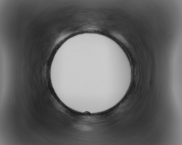 X0000083011404200703021928