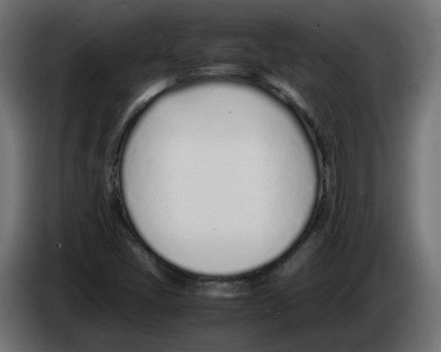 X0000083011405200703021928