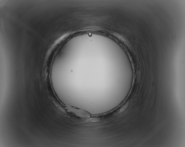 X0000083011406200703021928