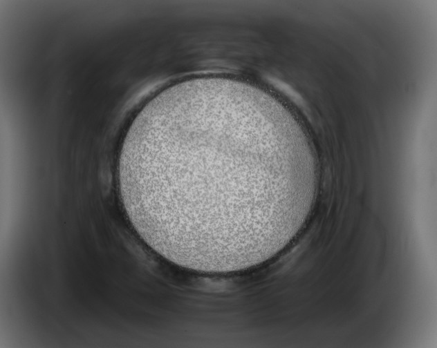 X0000083011407200703021928