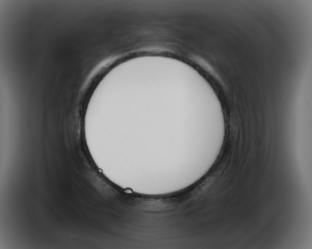 X0000083011408200703021928