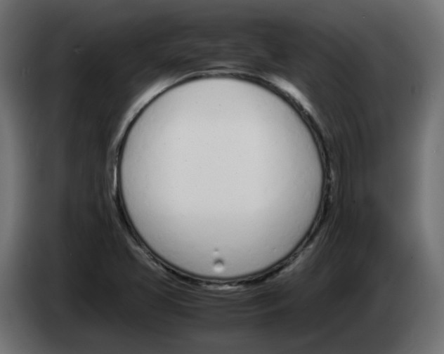 X0000083011413200703021929