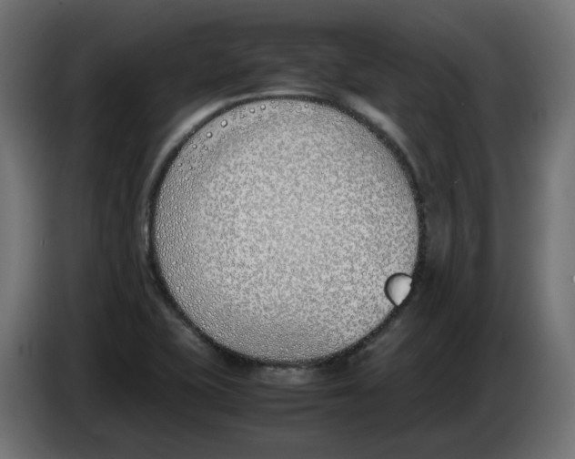 X0000083011415200703021929