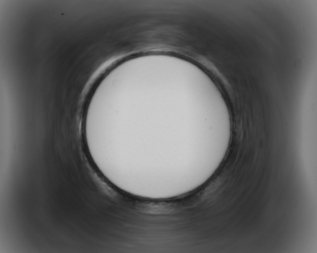 X0000083011416200703021929