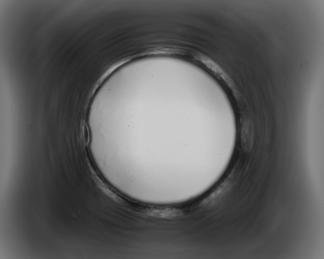 X0000083011417200703021929