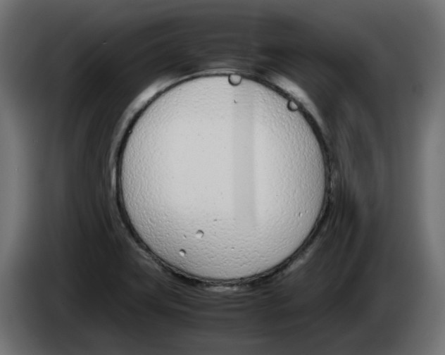 X0000083011419200703021929