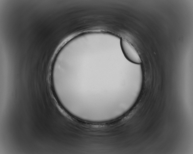 X0000083011421200703021929