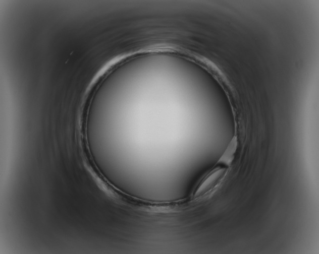 X0000083011422200703021929