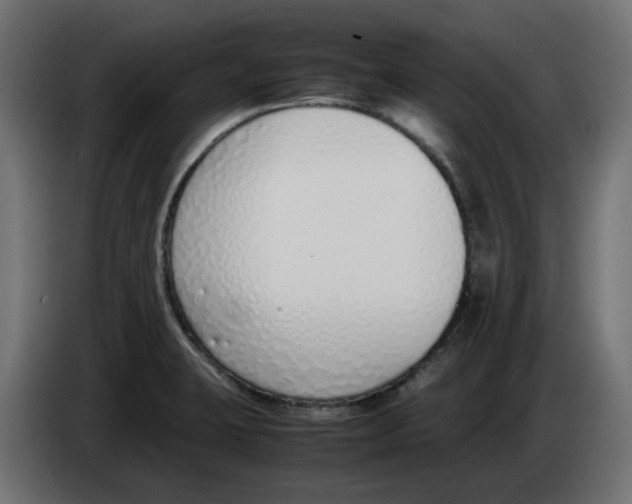 X0000083011423200703021929