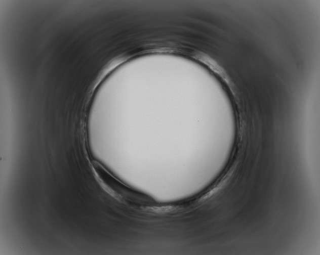 X0000083011425200703021929