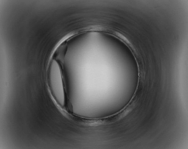 X0000083011426200703021929