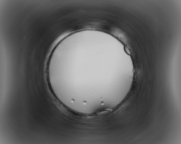 X0000083011427200703021929