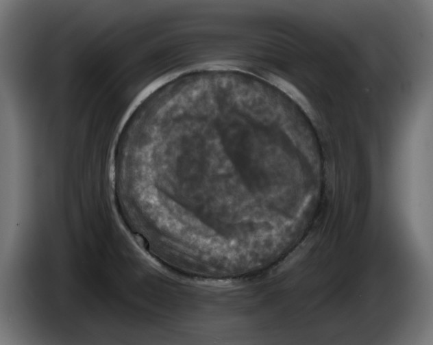 X0000083011428200703021929