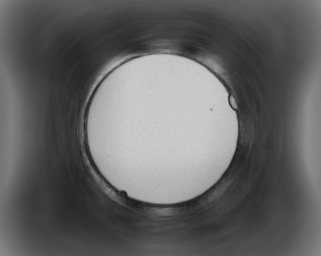 X0000083011431200703021929