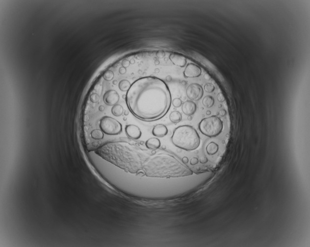 X0000083011432200703021929