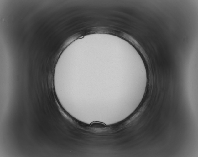 X0000083011433200703021929