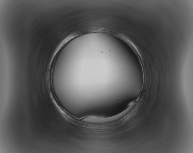 X0000083011434200703021929