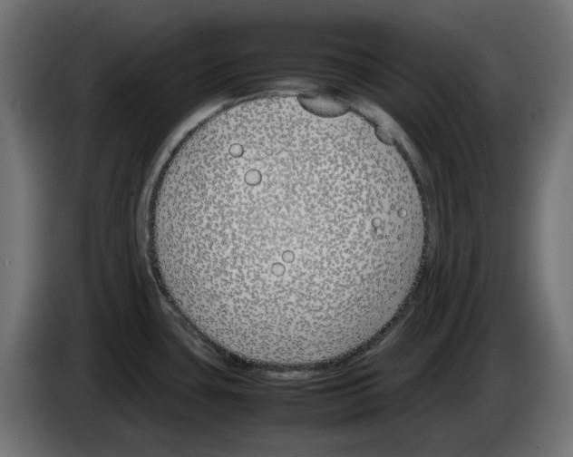 X0000083011435200703021929