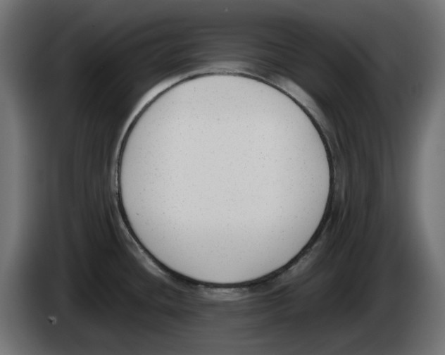 X0000083011436200703021929