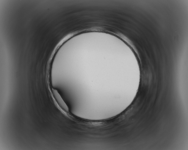 X0000083011437200703021929