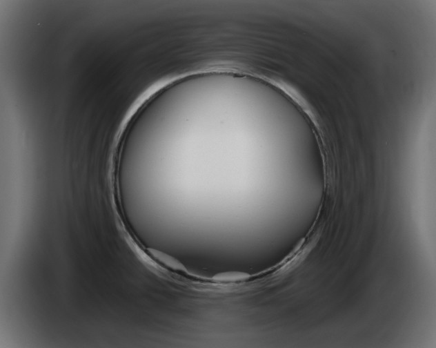 X0000083011438200703021929