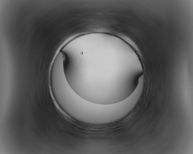 X0000083011439200703021929