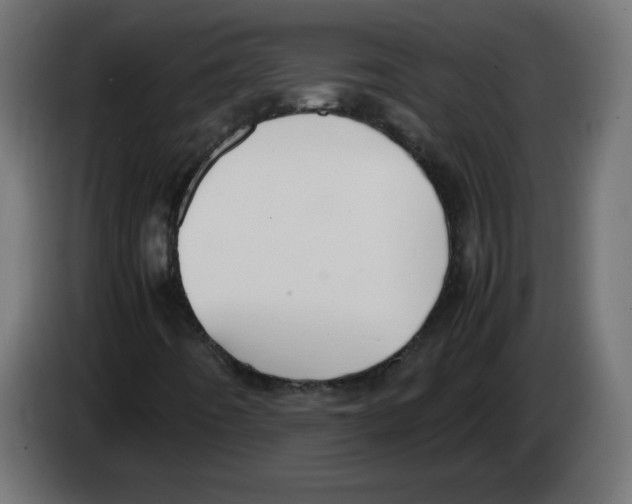 X0000083011442200703021928