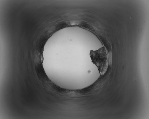 X0000083011443200703021928