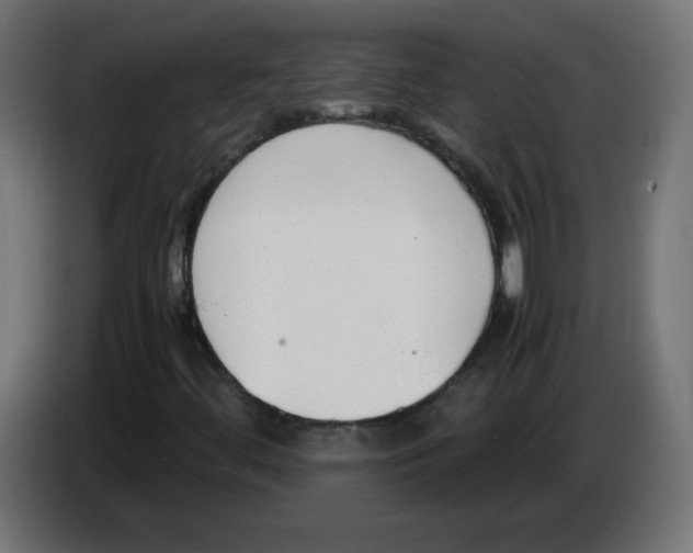 X0000083011444200703021928