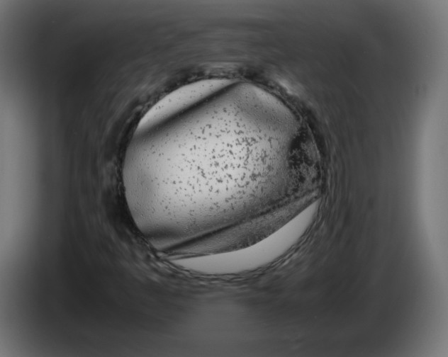 X0000083011445200703021928