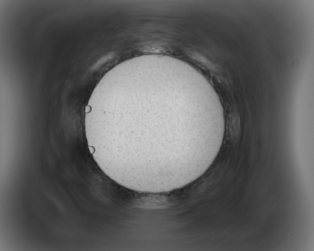 X0000083011446200703021928