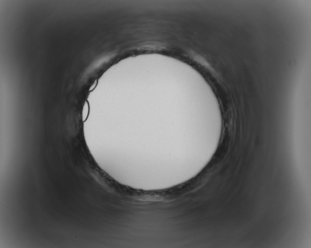 X0000083011448200703021928