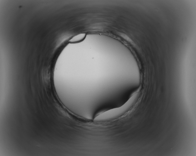 X0000083011450200703021928