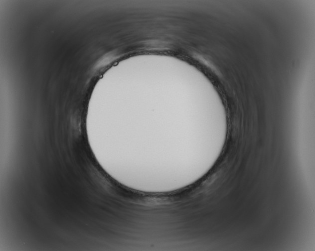 X0000083011451200703021928