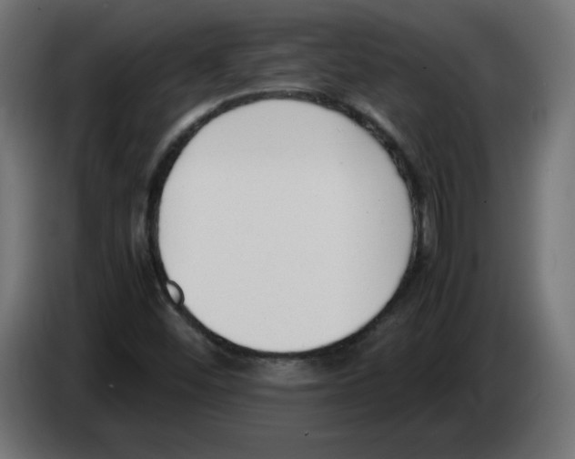 X0000083011452200703021928