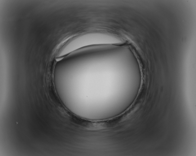 X0000083011453200703021928