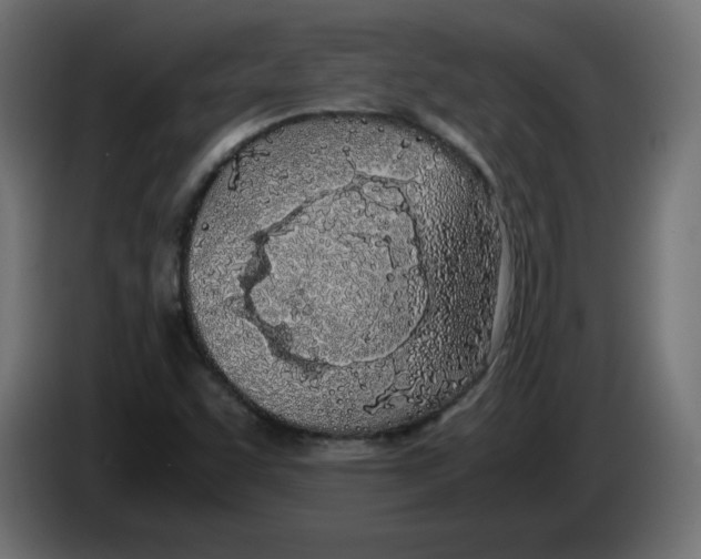 X0000083011455200703021928