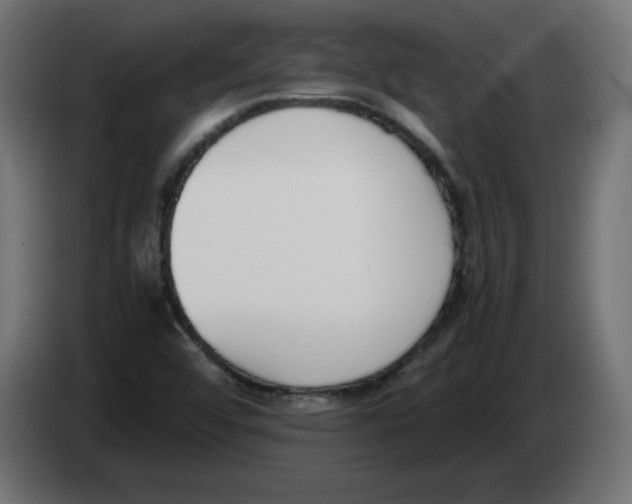 X0000083011456200703021928