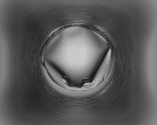 X0000083011457200703021928