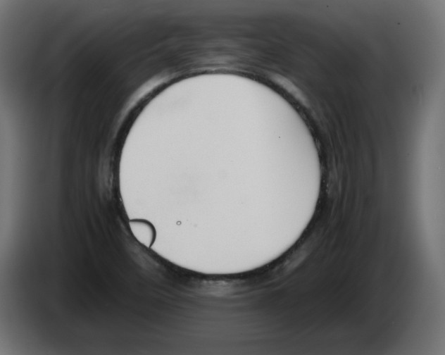 X0000083011458200703021928