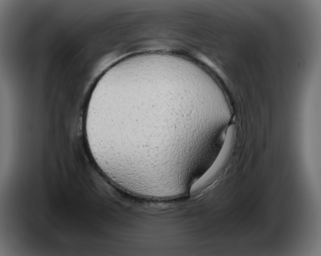 X0000083011459200703021928