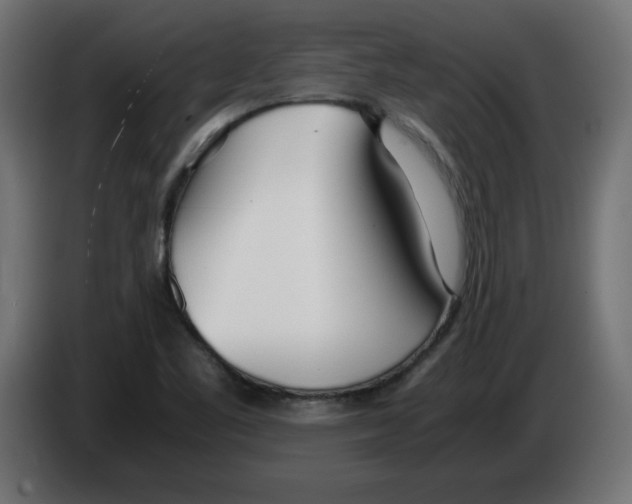 X0000083011461200703021928