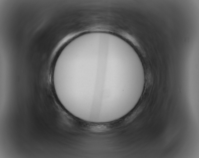 X0000083011462200703021928