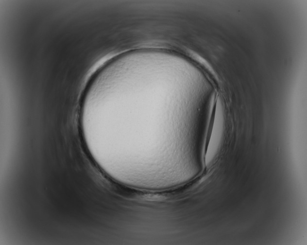 X0000083011463200703021928