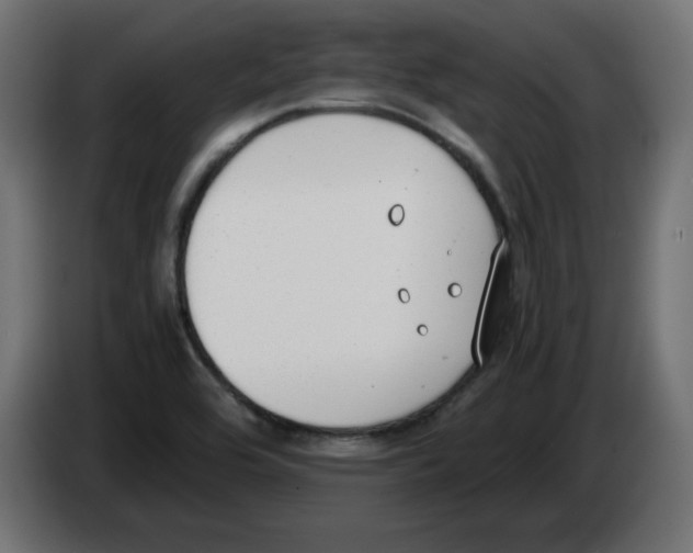 X0000083011464200703021928