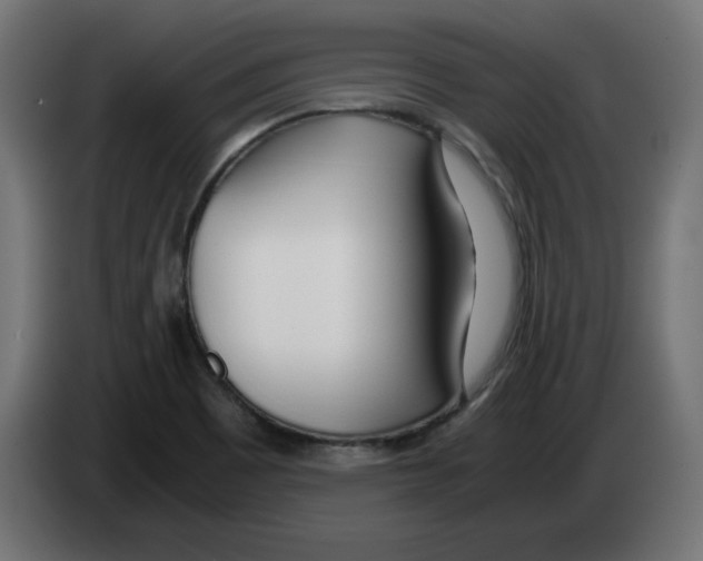 X0000083011465200703021928